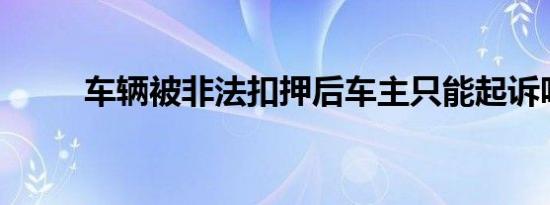 车辆被非法扣押后车主只能起诉吗