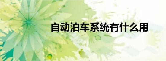 自动泊车系统有什么用