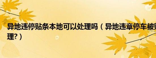 异地违停贴条本地可以处理吗（异地违章停车被贴条怎么处理?）