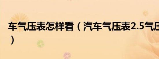 车气压表怎样看（汽车气压表2.5气压怎么看?）