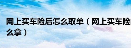 网上买车险后怎么取单（网上买车险的保单怎么拿）