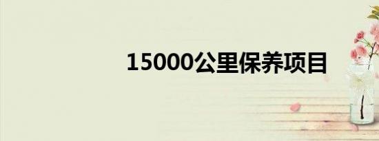 15000公里保养项目