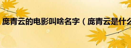 庞青云的电影叫啥名字（庞青云是什么电影）