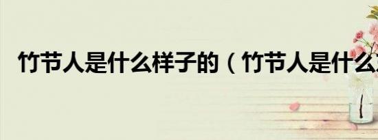 竹节人是什么样子的（竹节人是什么东西）