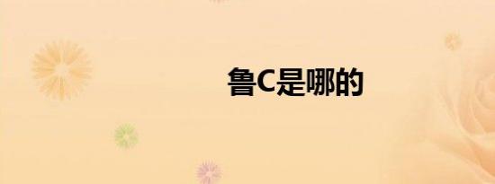鲁C是哪的