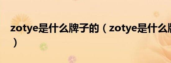 zotye是什么牌子的（zotye是什么牌子的车）