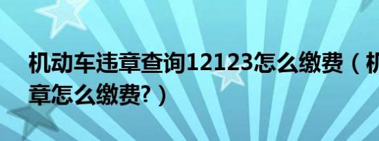 机动车违章查询12123怎么缴费（机动车违章怎么缴费?）