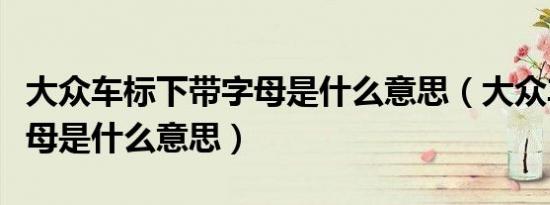 大众车标下带字母是什么意思（大众车牌带字母是什么意思）