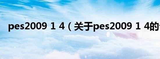pes2009 1 4（关于pes2009 1 4的介绍）