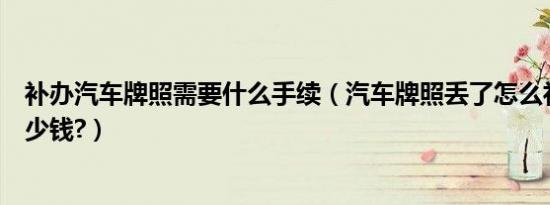 补办汽车牌照需要什么手续（汽车牌照丢了怎么补办需要多少钱?）