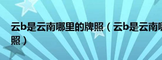 云b是云南哪里的牌照（云b是云南哪里的牌照）