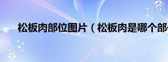松板肉部位图片（松板肉是哪个部位）