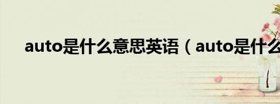 auto是什么意思英语（auto是什么灯）