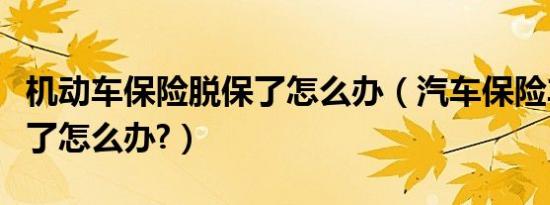 机动车保险脱保了怎么办（汽车保险车辆脱保了怎么办?）