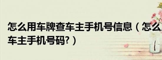 怎么用车牌查车主手机号信息（怎么用车牌查车主手机号码?）