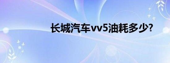 长城汽车vv5油耗多少?