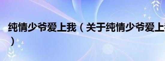 纯情少爷爱上我（关于纯情少爷爱上我的介绍）