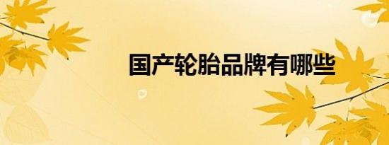 国产轮胎品牌有哪些