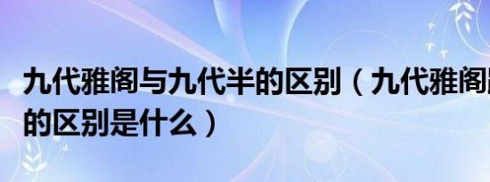 九代雅阁与九代半的区别（九代雅阁跟九代半的区别是什么）