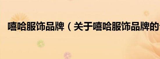 嘻哈服饰品牌（关于嘻哈服饰品牌的介绍）