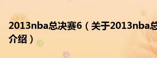 2013nba总决赛6（关于2013nba总决赛6的介绍）