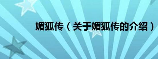 媚狐传（关于媚狐传的介绍）