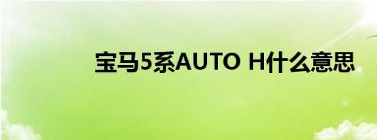 宝马5系AUTO H什么意思