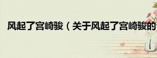 风起了宫崎骏（关于风起了宫崎骏的介绍）