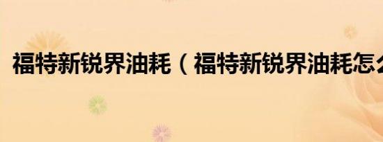福特新锐界油耗（福特新锐界油耗怎么样?）