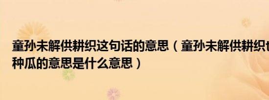童孙未解供耕织这句话的意思（童孙未解供耕织也傍桑阴学种瓜的意思是什么意思）