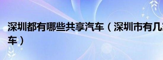 深圳都有哪些共享汽车（深圳市有几家共享汽车）