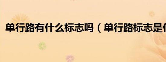 单行路有什么标志吗（单行路标志是什么?）