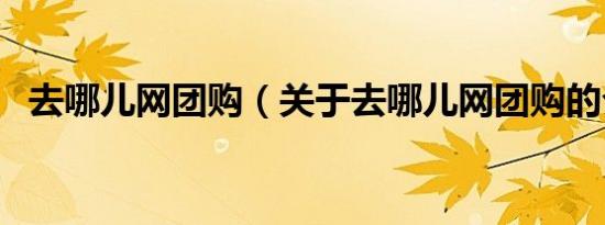 去哪儿网团购（关于去哪儿网团购的介绍）