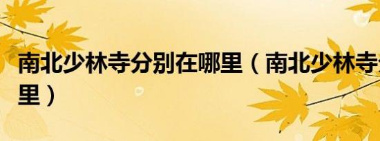 南北少林寺分别在哪里（南北少林寺分别在哪里）