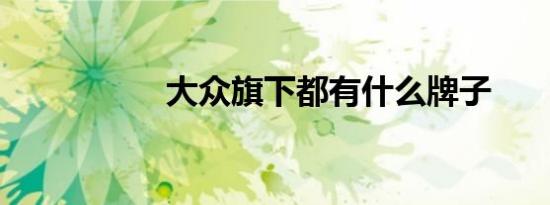 大众旗下都有什么牌子