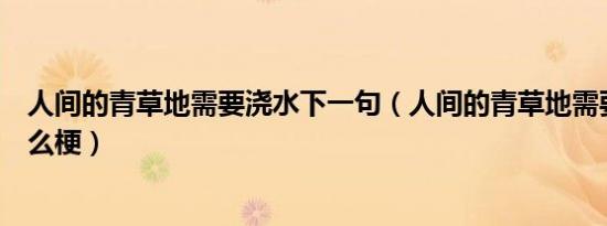 人间的青草地需要浇水下一句（人间的青草地需要浇水是什么梗）