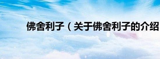 佛舍利子（关于佛舍利子的介绍）