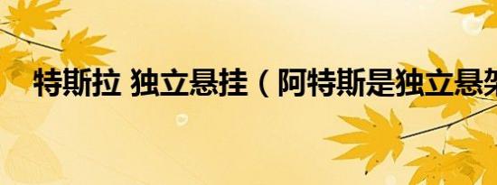 特斯拉 独立悬挂（阿特斯是独立悬架吗）