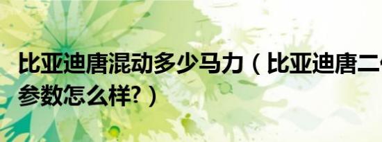 比亚迪唐混动多少马力（比亚迪唐二代混动版参数怎么样?）