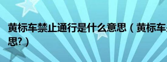 黄标车禁止通行是什么意思（黄标车是什么意思?）