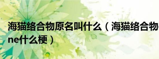 海猫络合物原名叫什么（海猫络合物damedane什么梗）