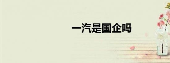 一汽是国企吗