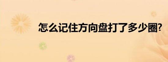 怎么记住方向盘打了多少圈?