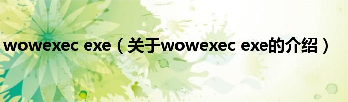 wowexec exe（关于wowexec exe的介绍）