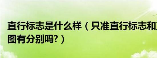 直行标志是什么样（只准直行标志和直行标志图有分别吗?）