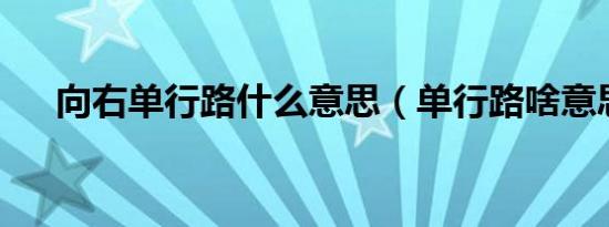 向右单行路什么意思（单行路啥意思?）