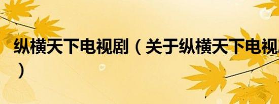 纵横天下电视剧（关于纵横天下电视剧的介绍）