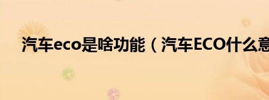 汽车eco是啥功能（汽车ECO什么意思）