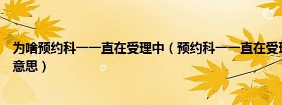 为啥预约科一一直在受理中（预约科一一直在受理中是什么意思）