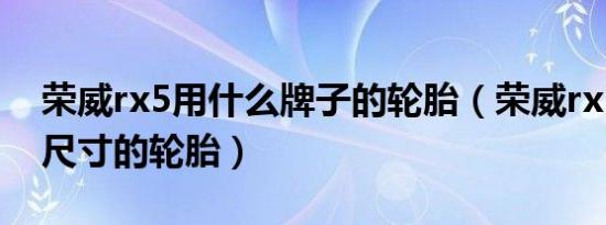 荣威rx5用什么牌子的轮胎（荣威rx5用什么尺寸的轮胎）